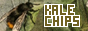 kale chips button