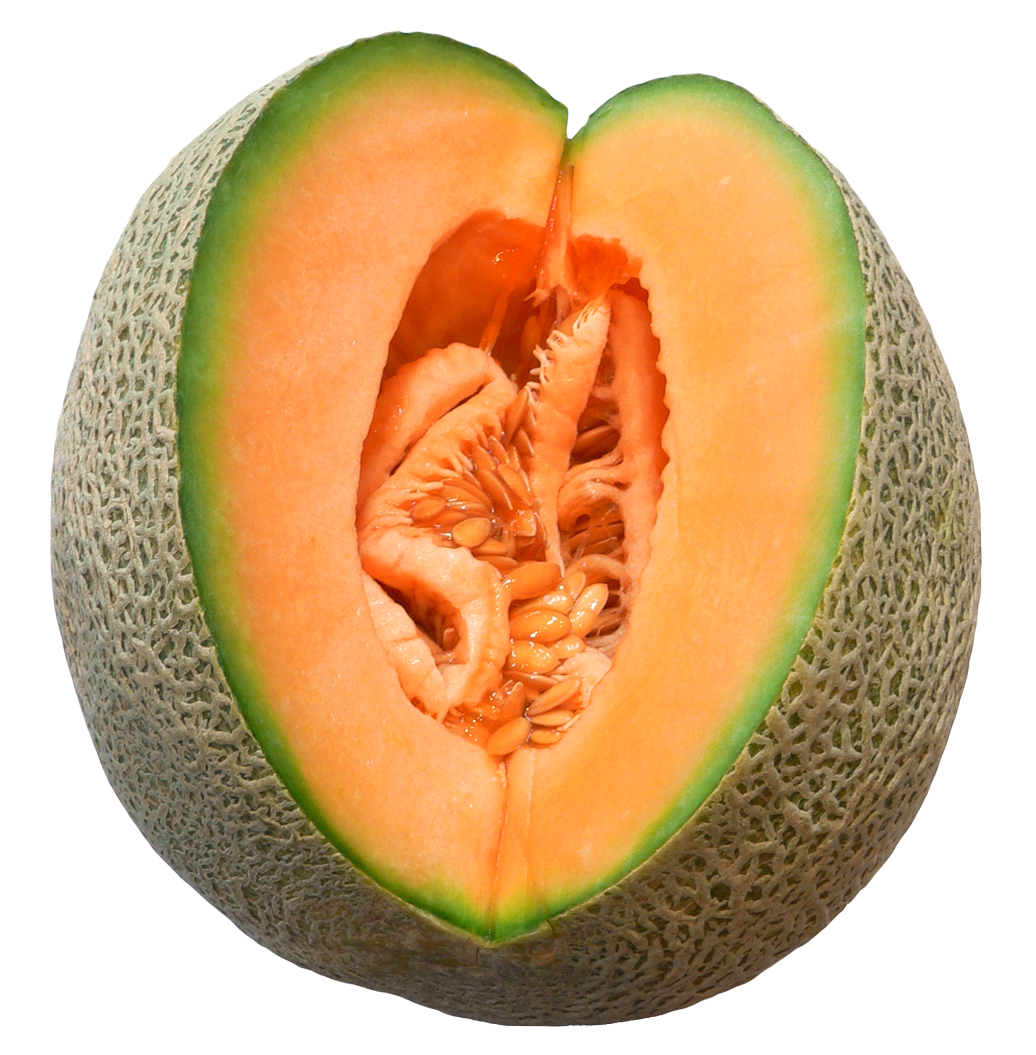My Melonland Forums Profile